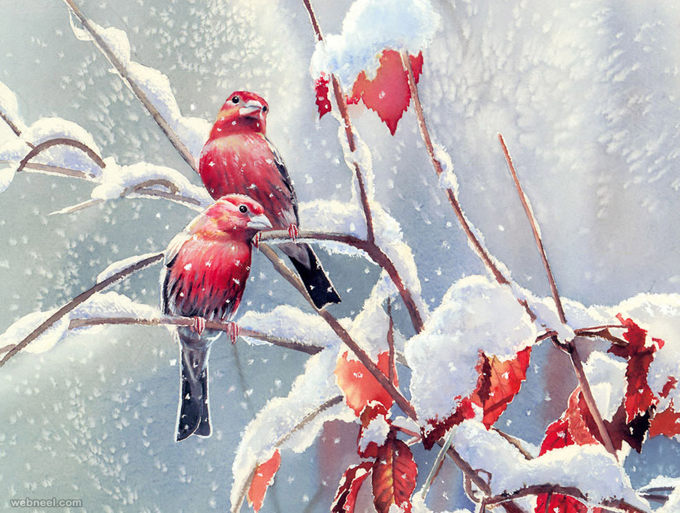 bird watercolor painting