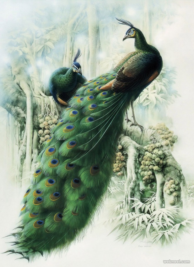 bird painting by peacock