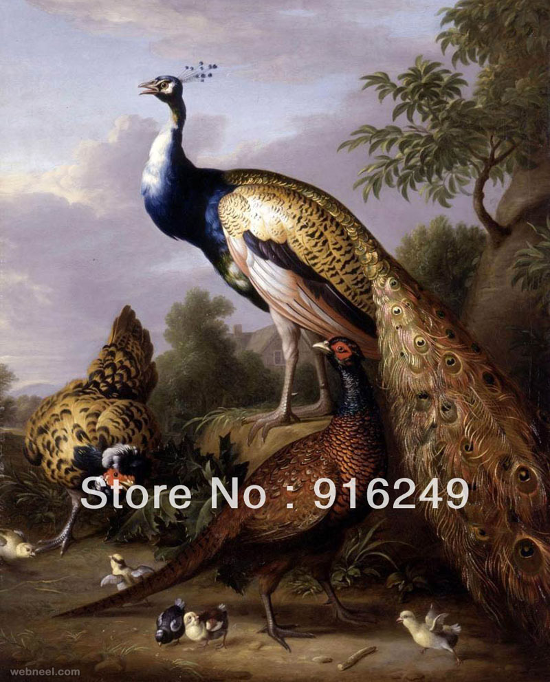peacock bird paintings