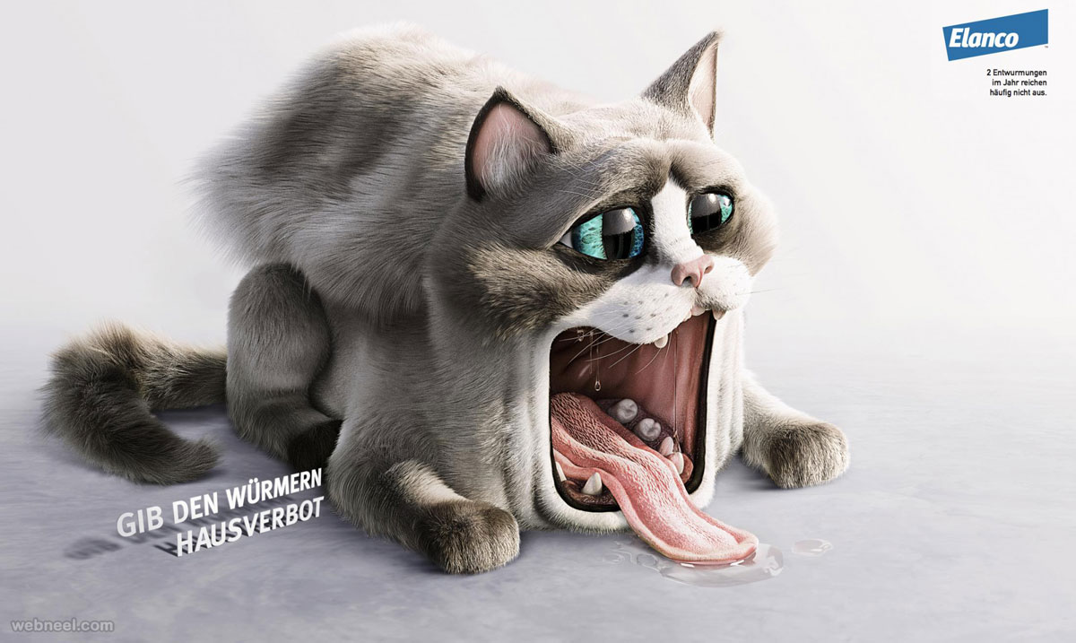 print advertisement pets cat