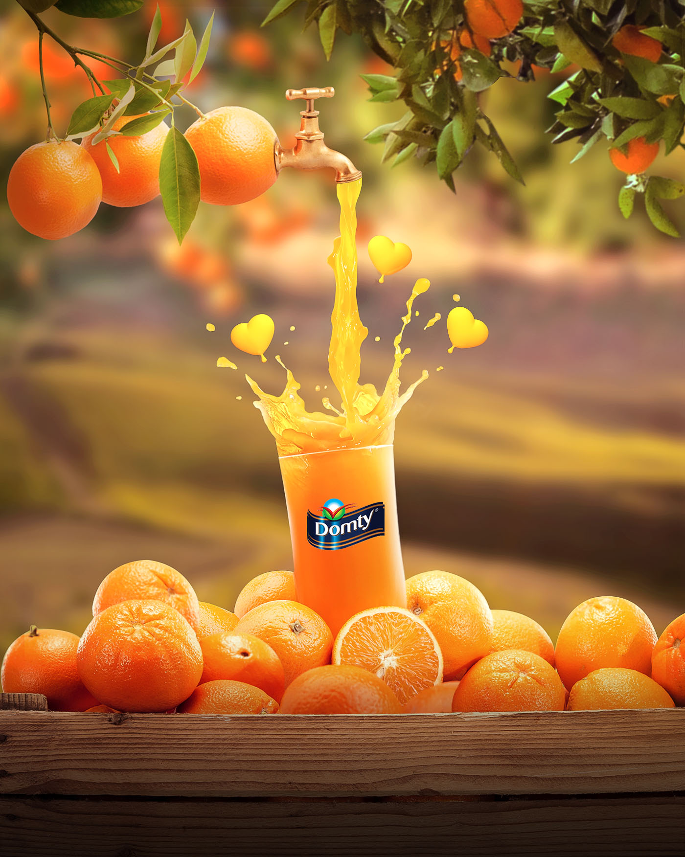 advertising design idea domty orange juice