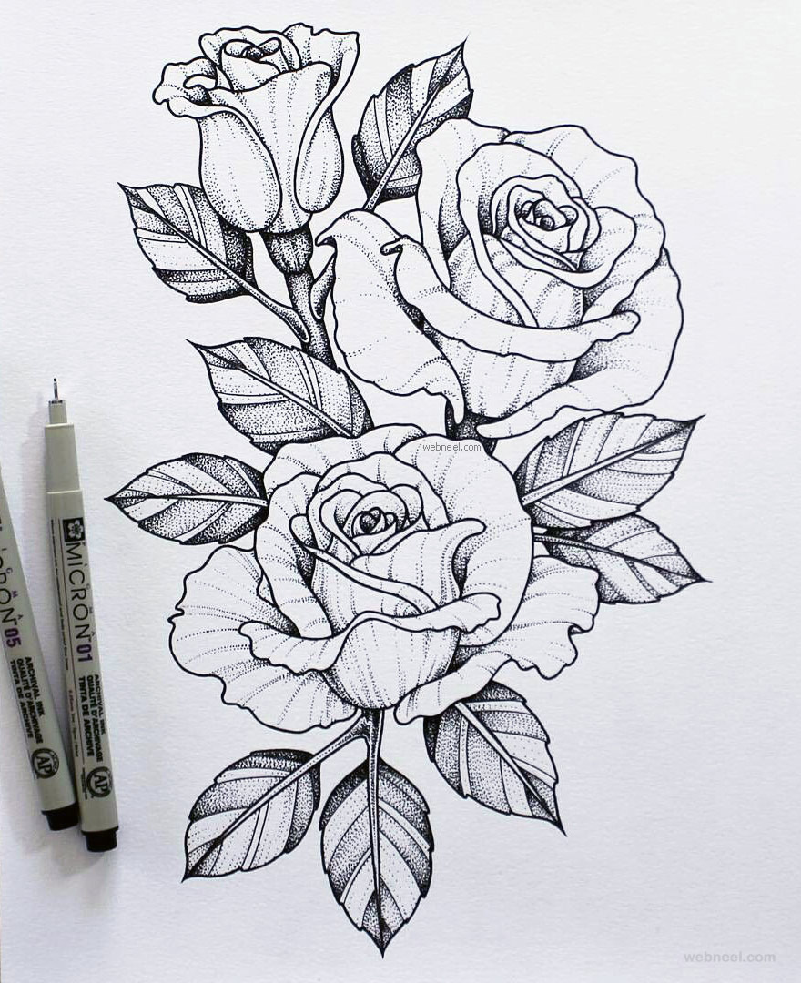 Top 999 Rose Flower Drawing Images Amazing Collection Rose Flower 
