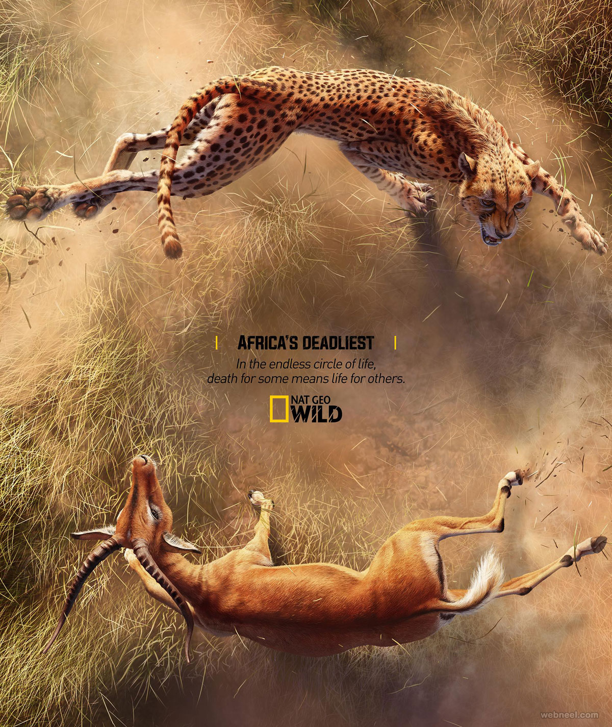 print advertising idea cheetah impala