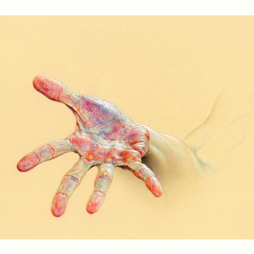 color pencil drawing hand by wanjin gim