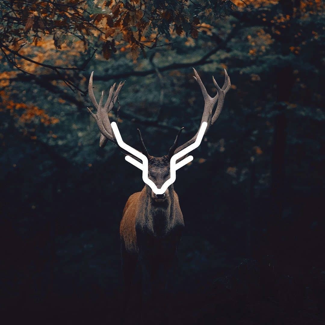 animal logo design reindeer