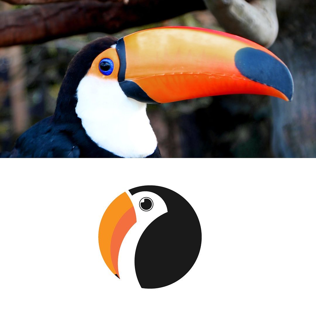 animal logo design pelican