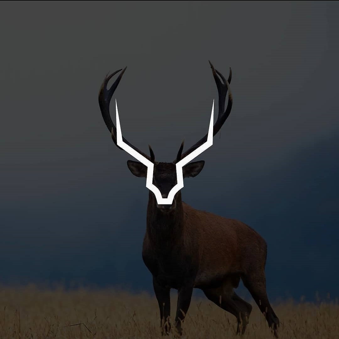 animal logo design reindeer