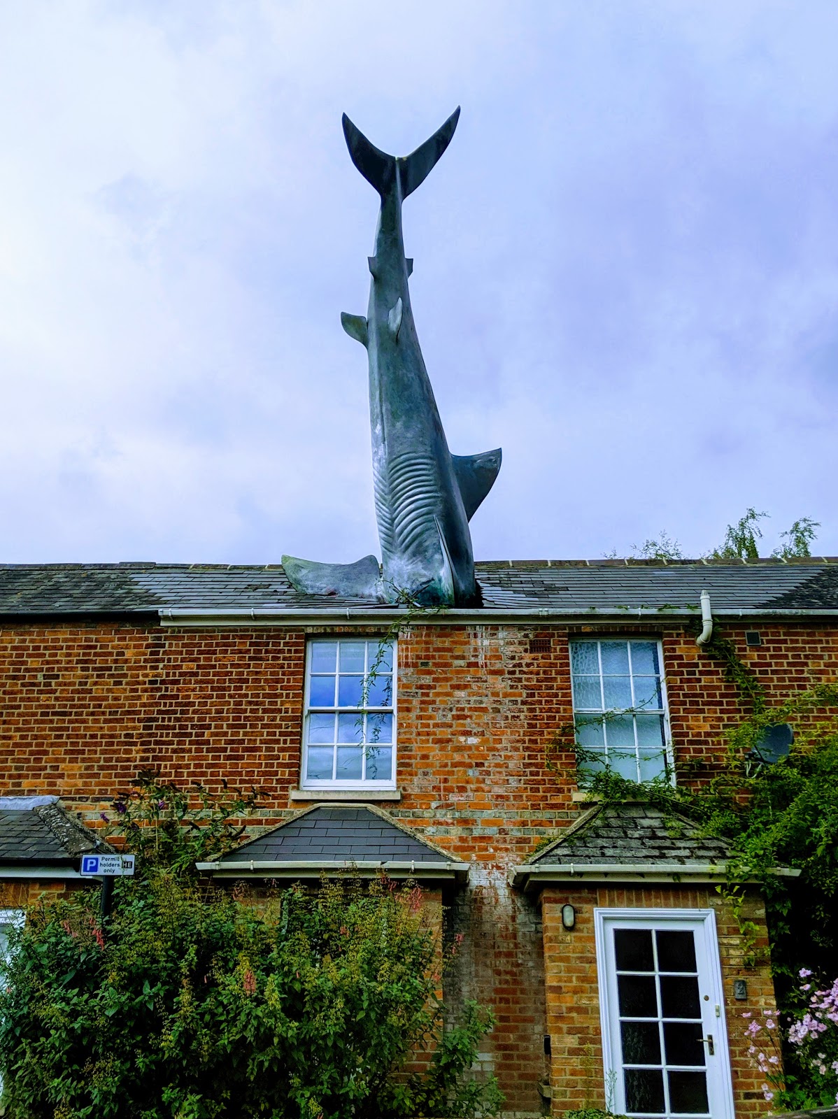stunning sculpture the heading shark oxford england