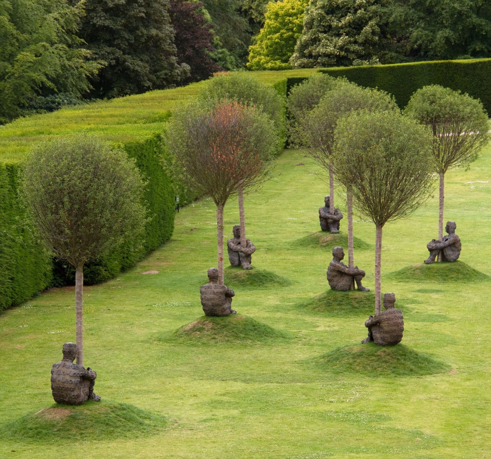 stunning sculpture the heart of trees yorkshire sculpture park uk