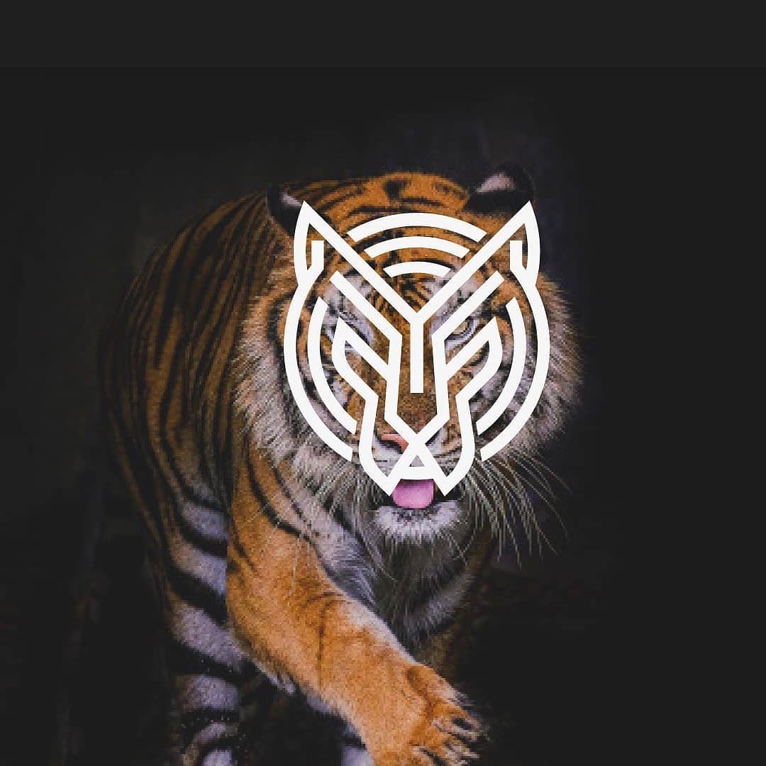 animal logo design tiger