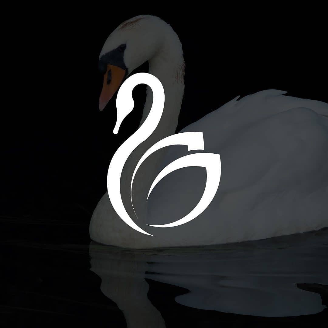 animal logo design swan
