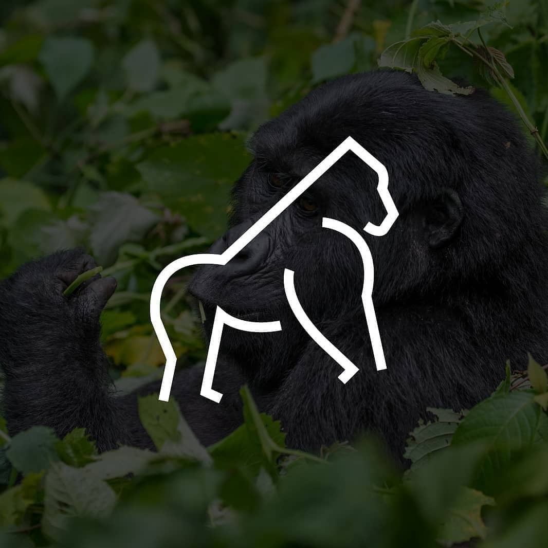 animal logo design gorilla