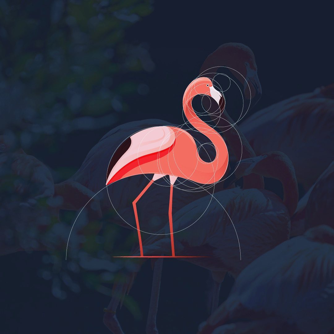 animal logo design flamingo