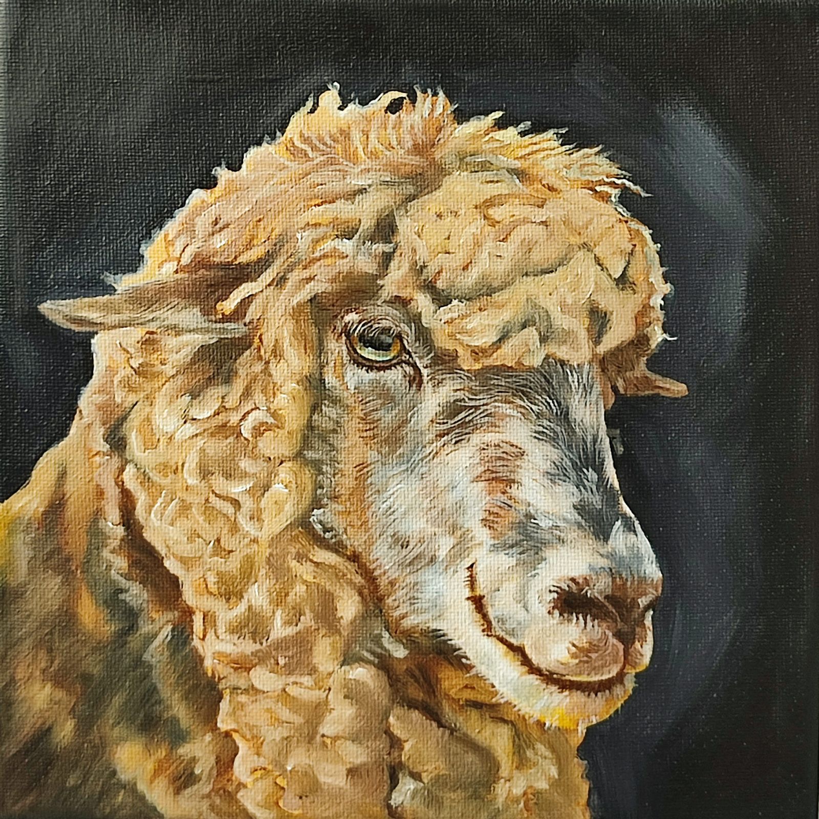 animal painting merino by elsie skelliot