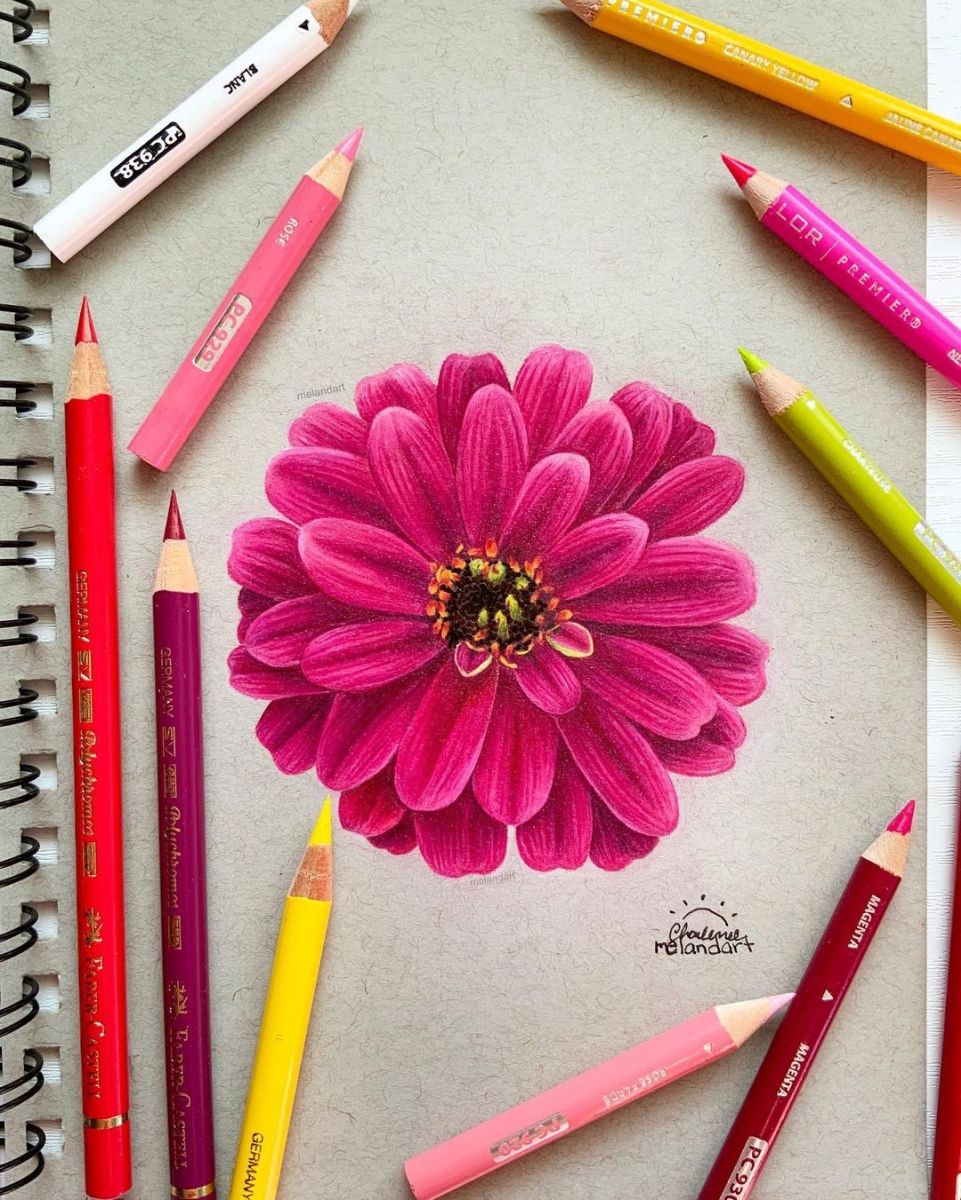 beautiful flower drawing art by melandart