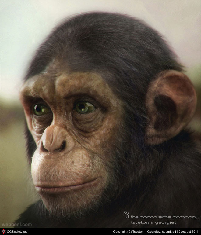 chimpanzee cg character by tsvetomir georgiev