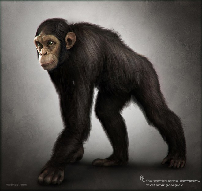 chimpanzee cg character by tsvetomir georgiev