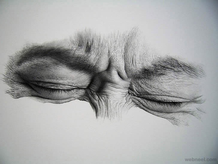 best pencil drawing