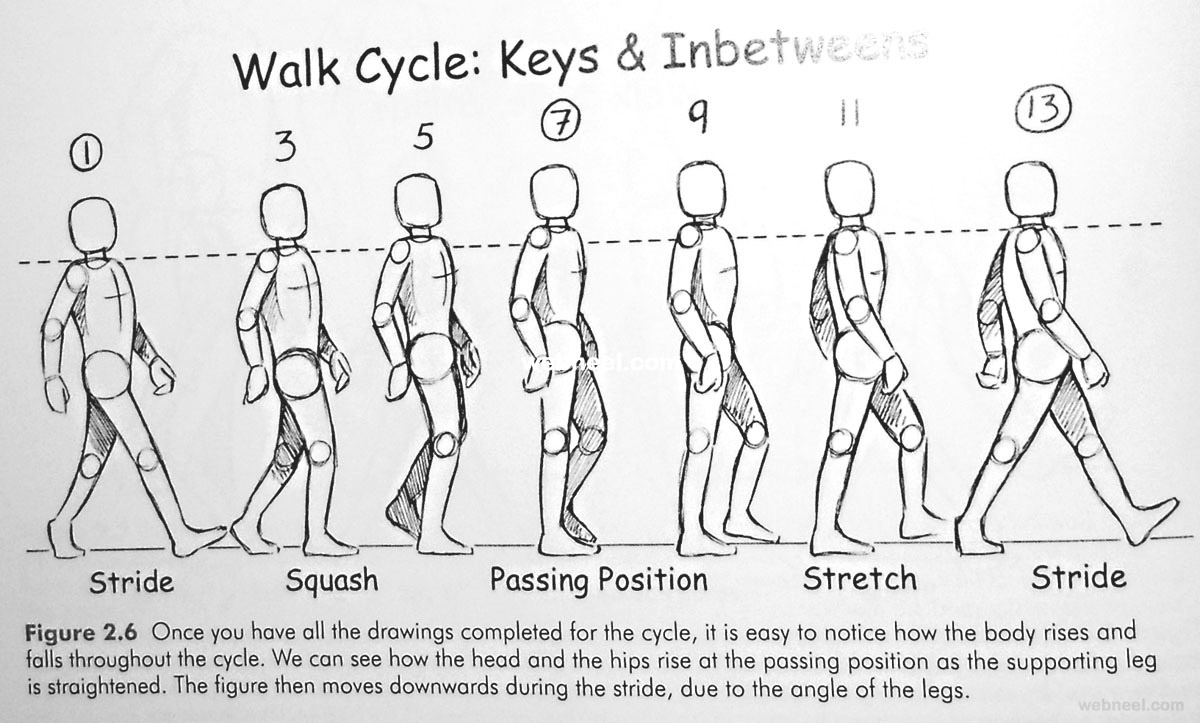 walk cycle animation walking