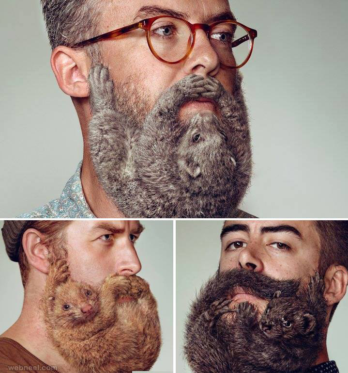 beard-art.jpg