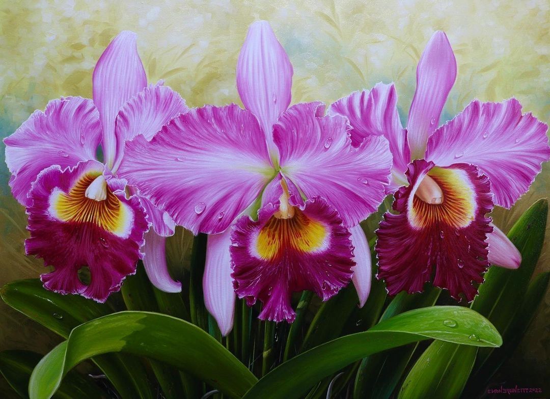 beautiful flower painting orchid flower by elton brunetti