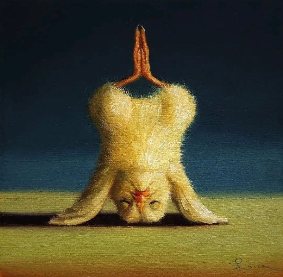 funny oil painting chick yoga by lucia heffernan