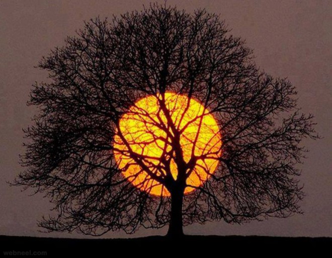 most amazing photos sunrise
