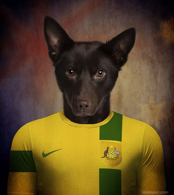 soccer nations dogs funny