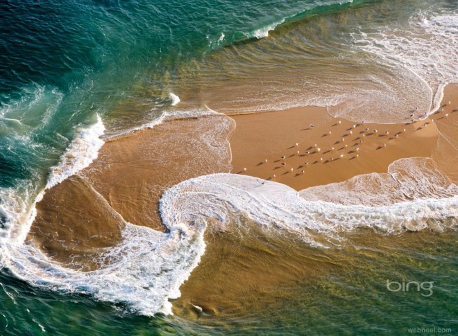 aerial photography seagull beach