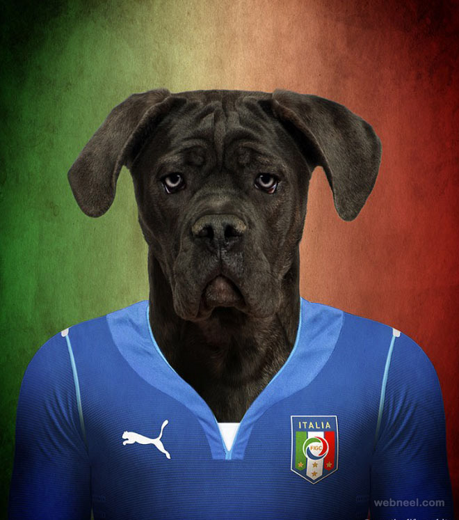 photo manipulation soccer nations dogs