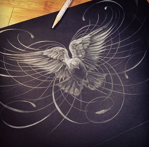 beautiful bird drawing by jake weidmann