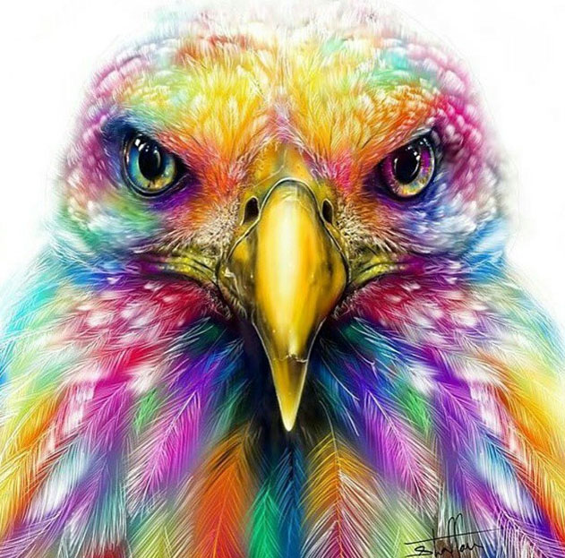 bird digital art by shaffoceans