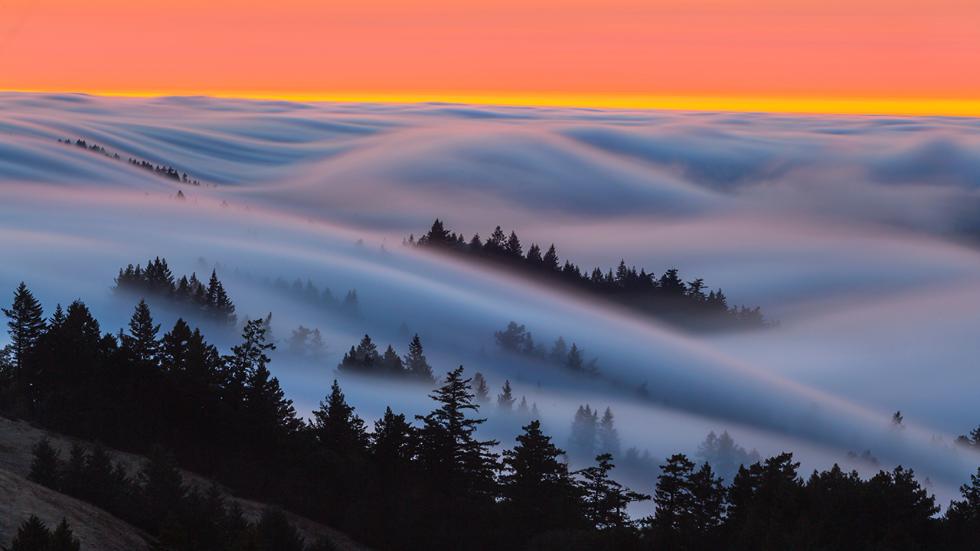 fog nature photography by ben stein