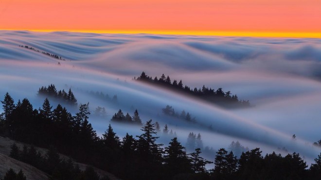 5-fog-nature-photography-by-ben-stein