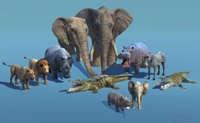 3d models african animals by kashiffffffff