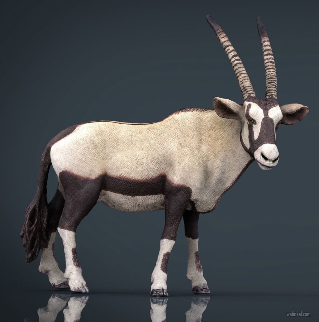 20 Realistic 3D Animal Models and character designs