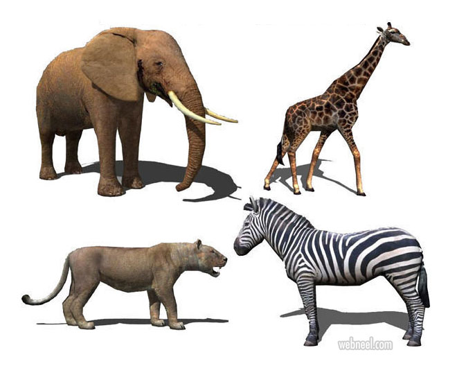 3d models animals low poly