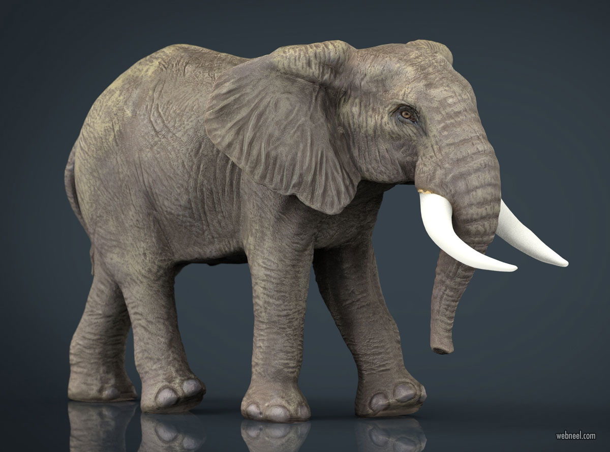 3d models elephant animal by sanchiesp
