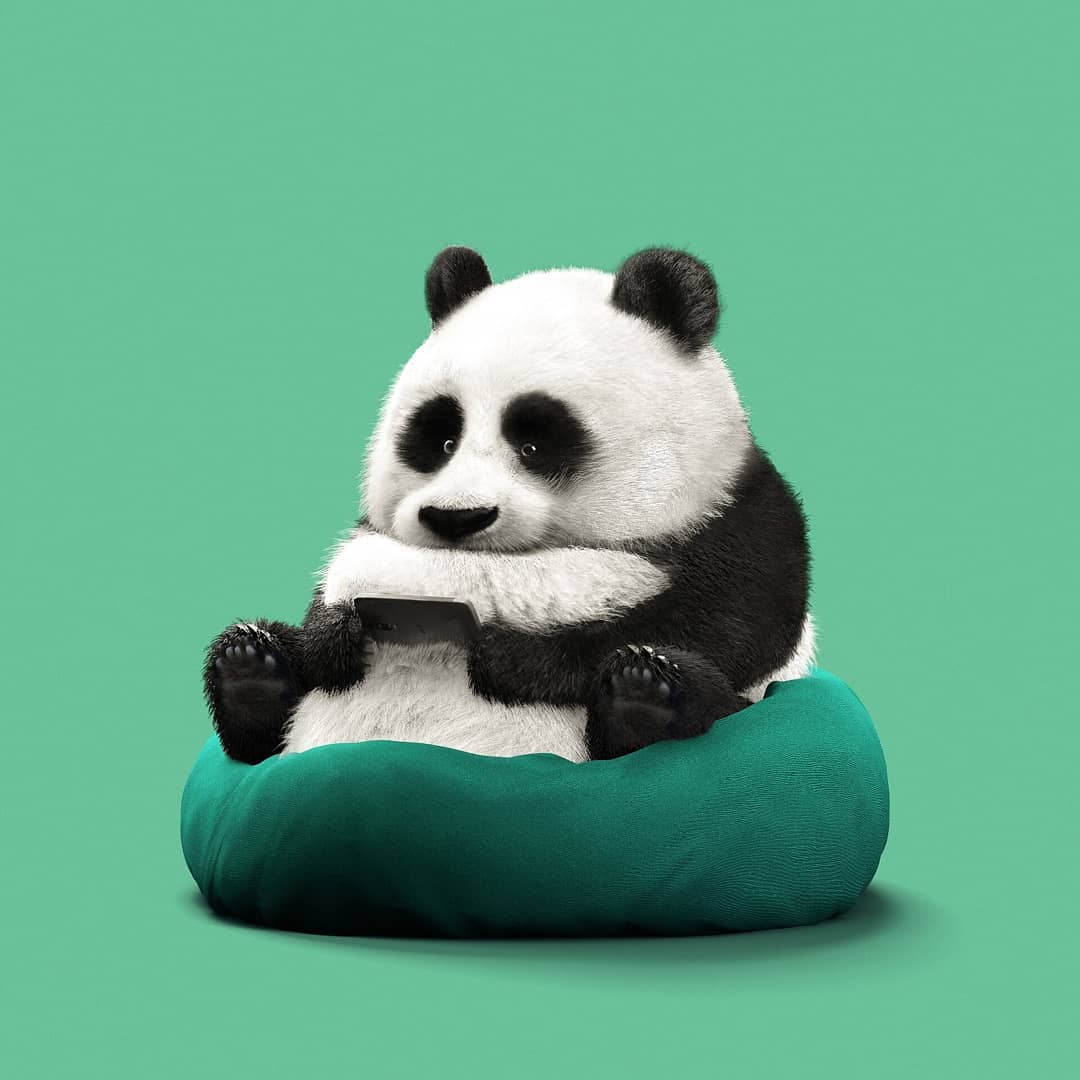 3d model panda by guodong zhao