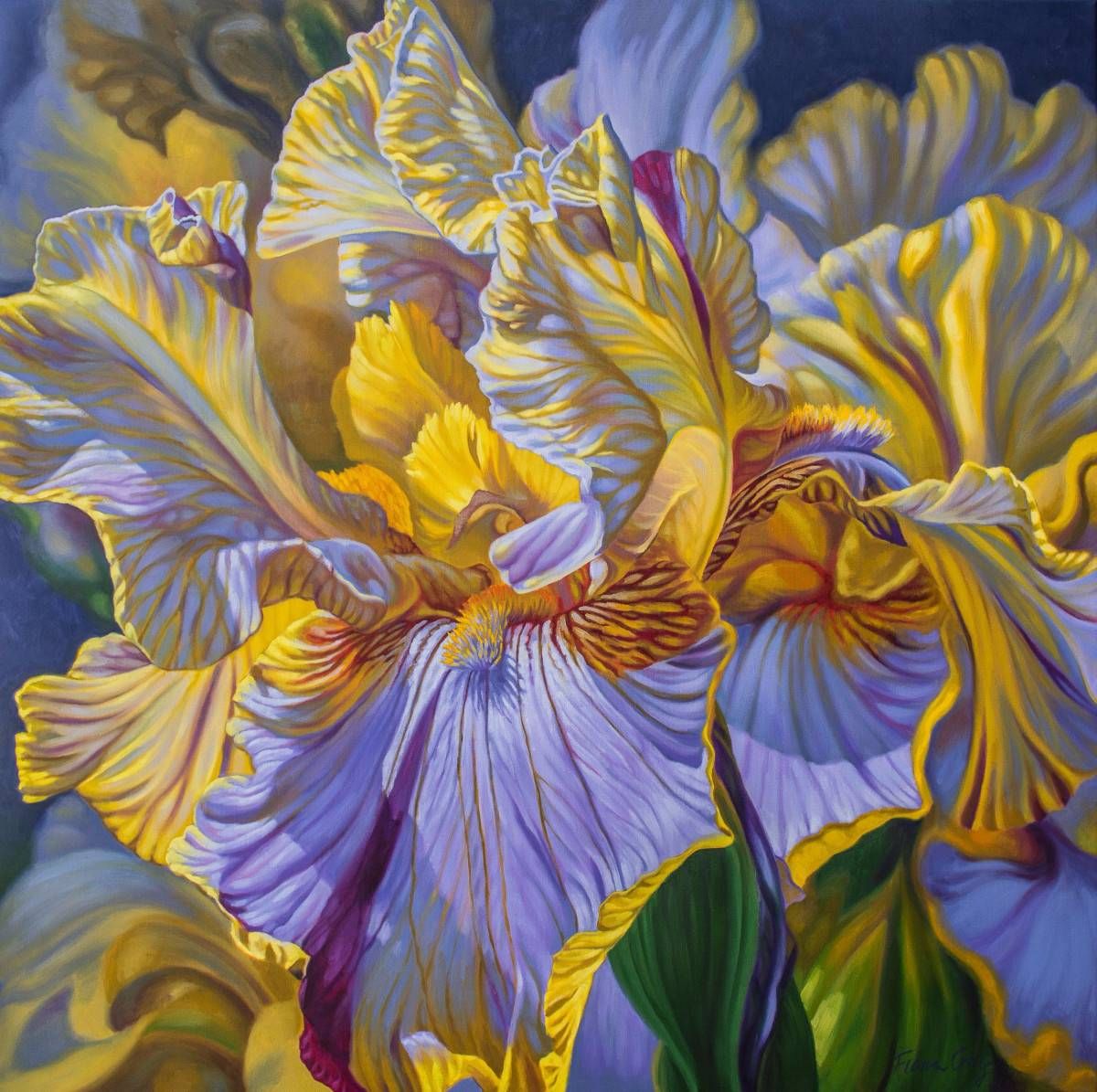 flower oil painting yellow iris by fiona craig