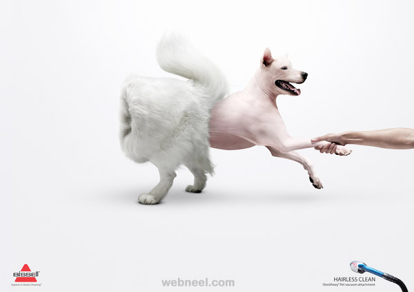 creative ads bissell inside out