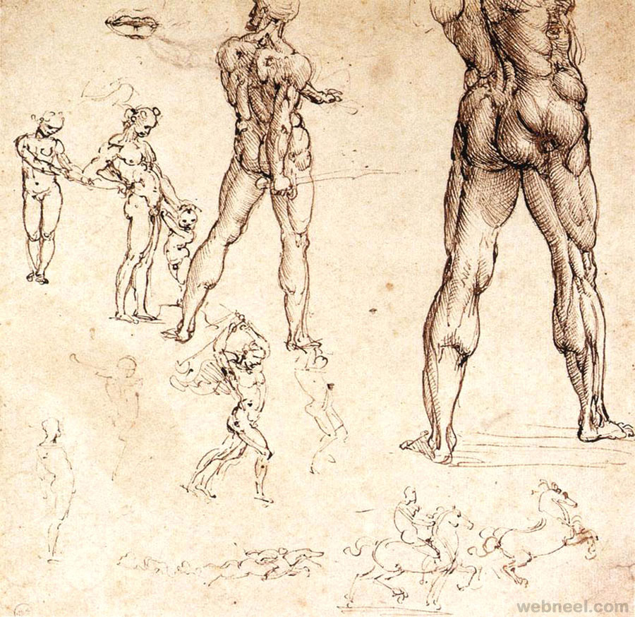 Leonardo Da Vinci Anatomy 37