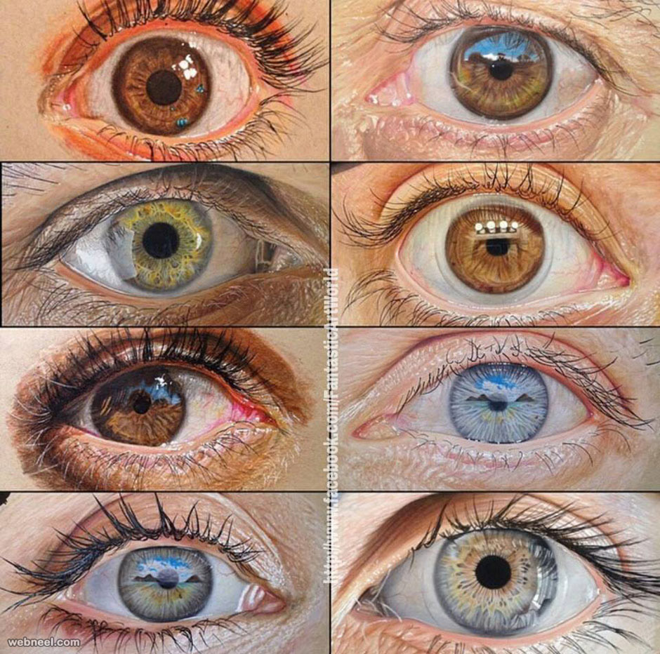 eyes color pencil drawing