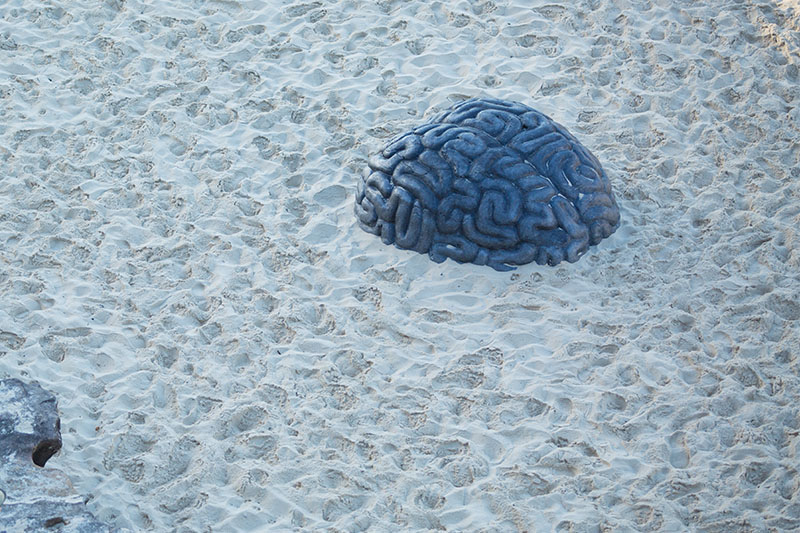brain sculpture by the sea by kathy holowko