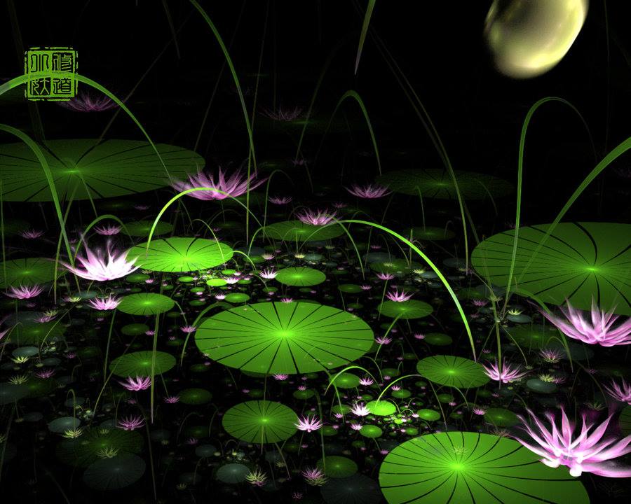 4-lotus-digital-art-by-fractist