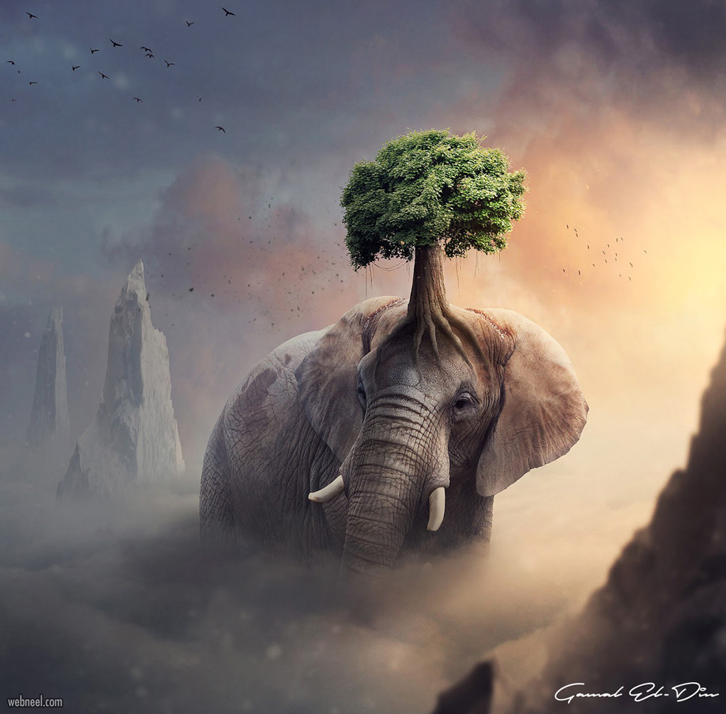 photo manipulation elephant by gamal eldien