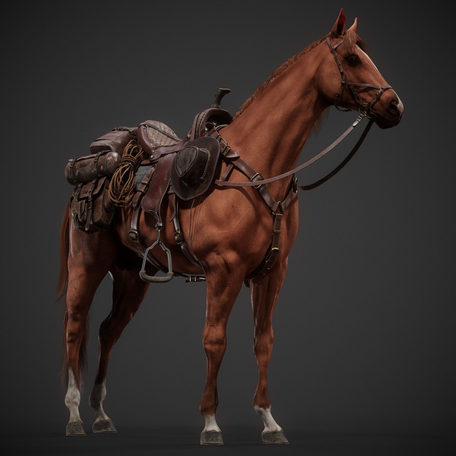 realistic 3d animal model horse by adarsh shetty