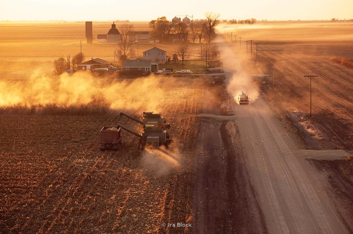 farmers weekly harvesting corn photography