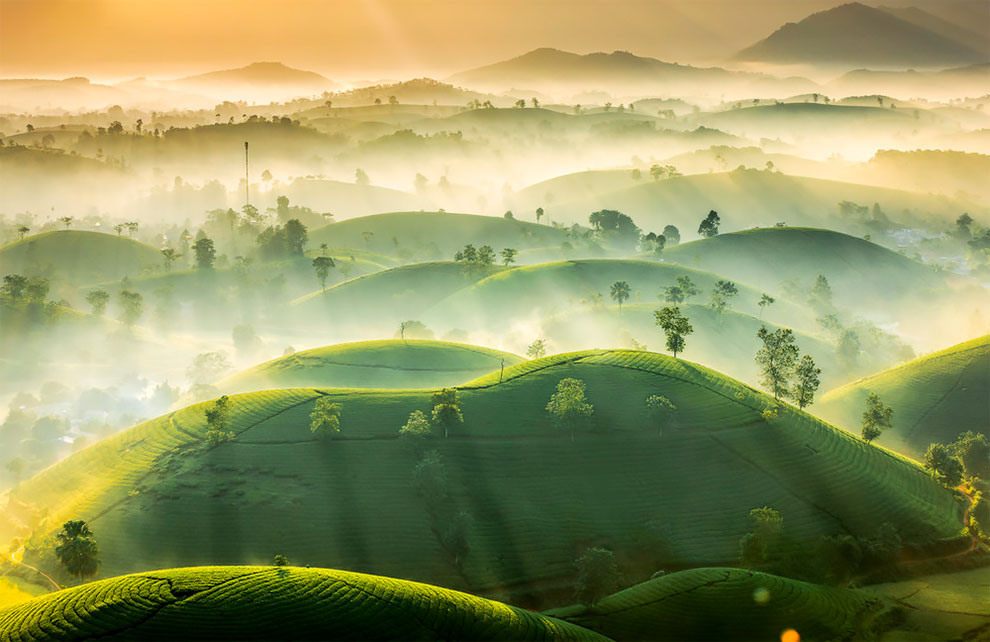 weather photography tea hills