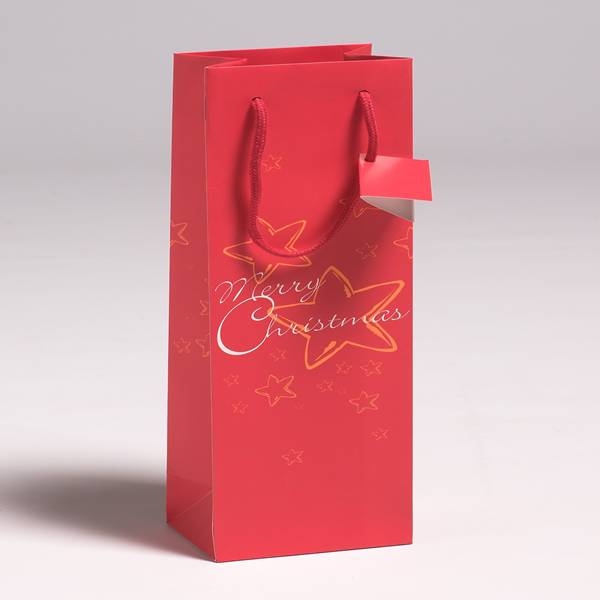 christmas packaging design bag